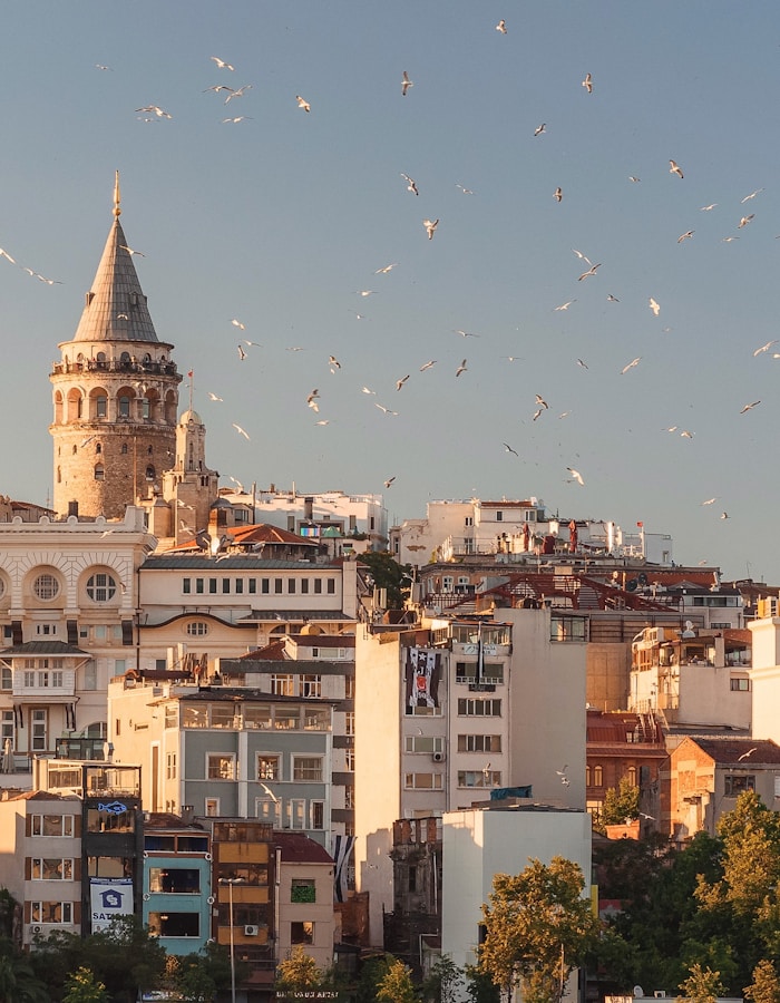How to Find Affordable Flights and Save Money for Vacation